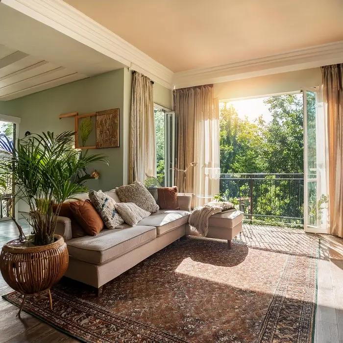 سجادة سوق التنين